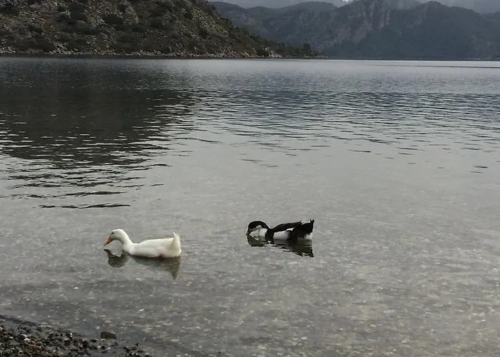 Kapri Selimiye (Aegean)