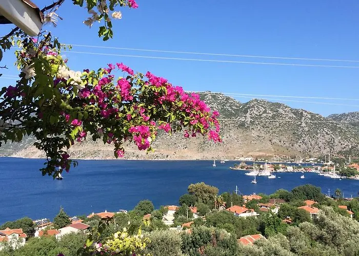 فندق Kapri السليمية